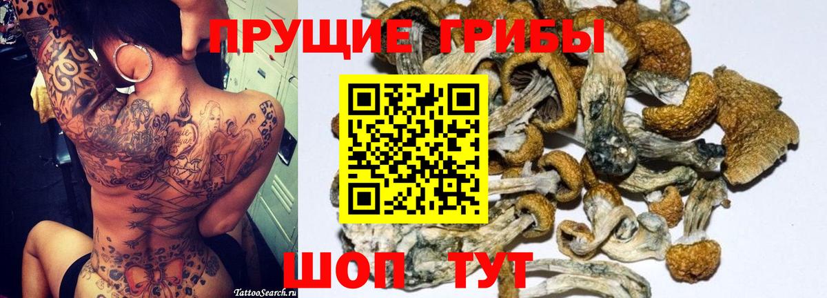 Луга  Галлюциногенные грибы GOLDEN TEACHER  Псилоцибиновые грибы MAGIC MUSHROOMS  Вход с VPN 