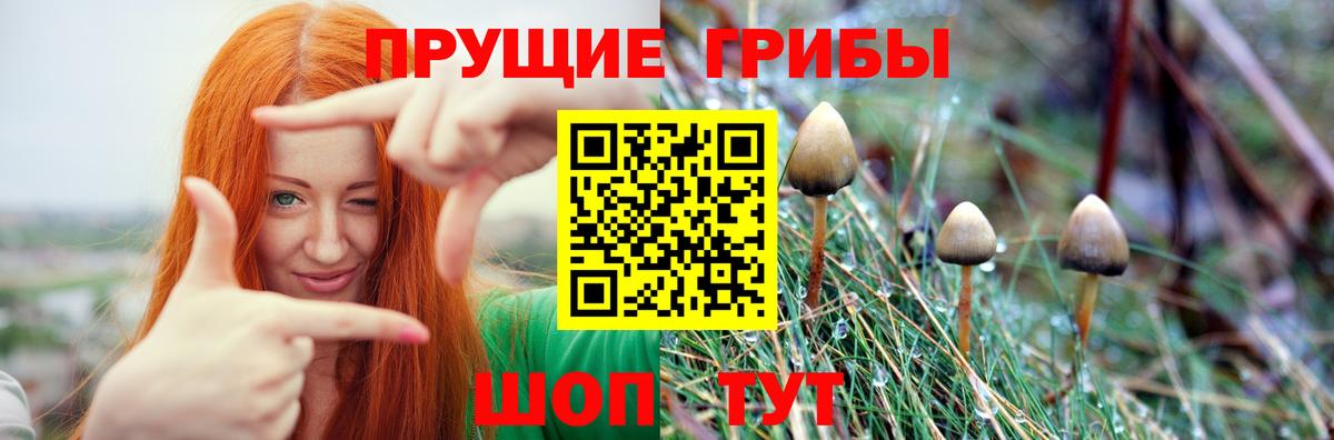 Псилоцибиновые грибы мицелий Луга